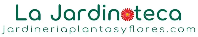 La Jardinoteca (Blog de Jardineria, plantas, flores y más)