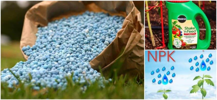 Como Se Sintetizan Los Fertilizantes Quimicos jardineriaplantasyflores.com
