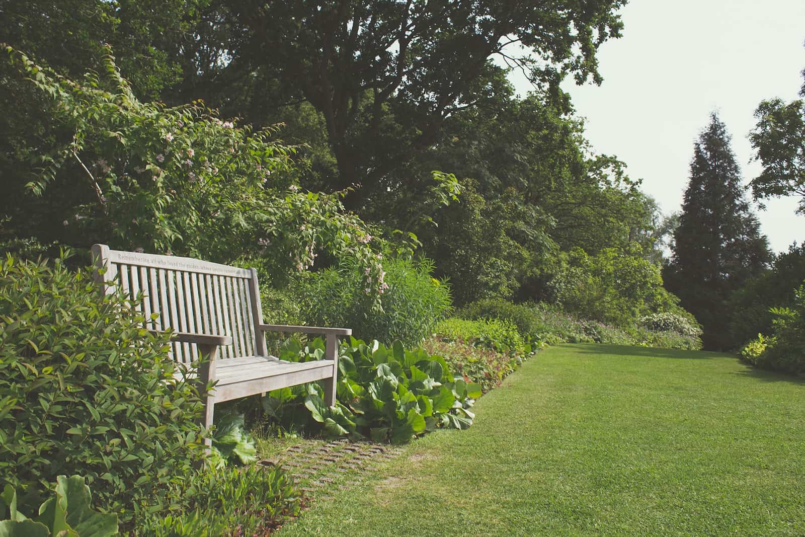 Tareas del jardín en marzo 3 cesped
